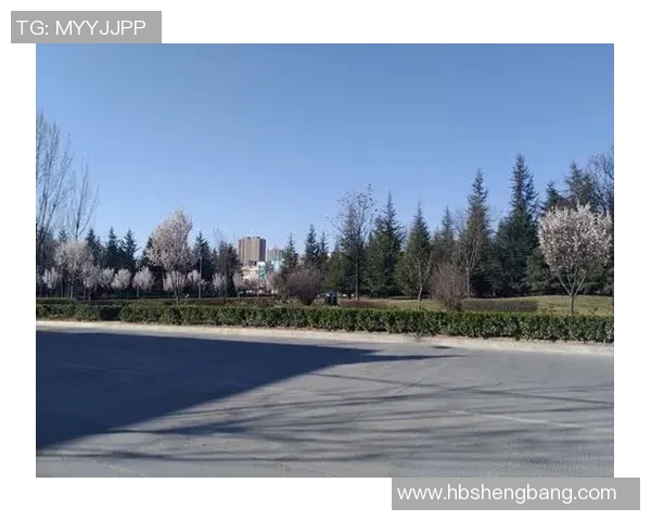 足球明星与13岁男孩的梦想之旅如何改变了他们的人生轨迹