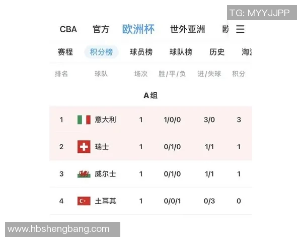 2020欧洲杯举办城市数量及其分布情况分析