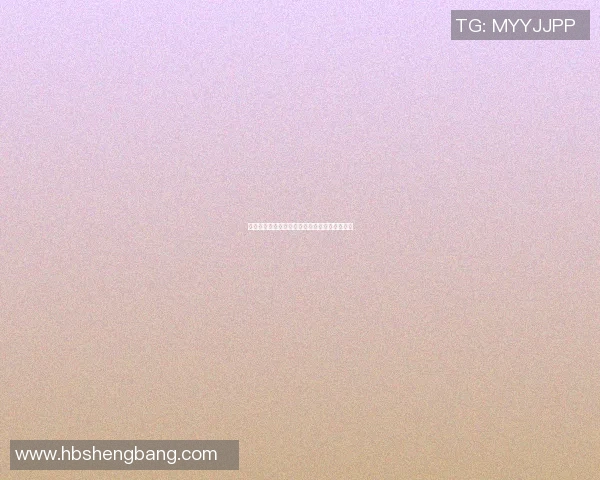 酒泉篮球明星的璀璨星空与他们的辉煌成就盘点